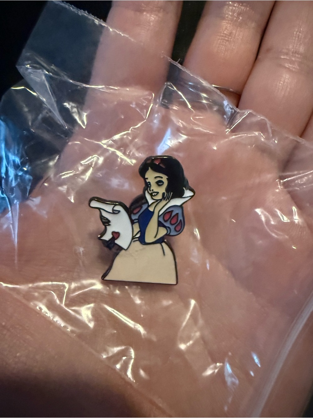 🌟Bundle Sale Snow White Pin